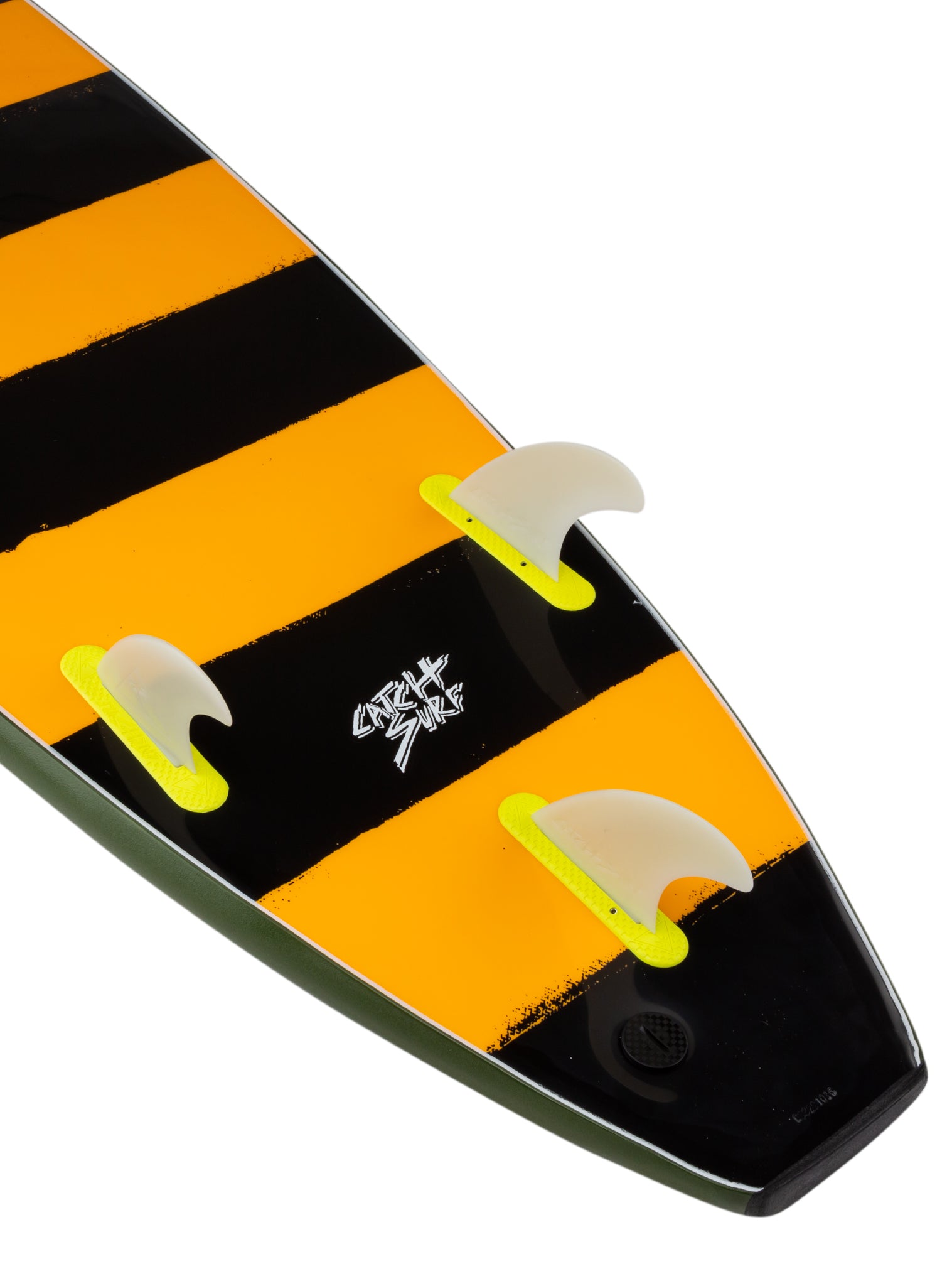 Close-up of a black and orange striped water 