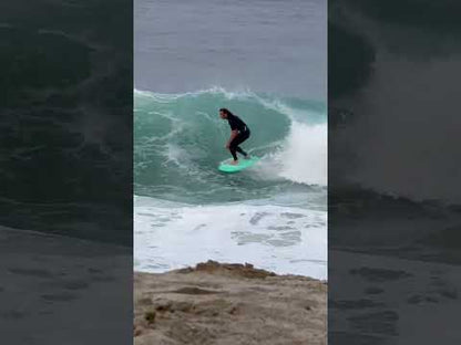 TWIG - Twin Fin - 4'10"